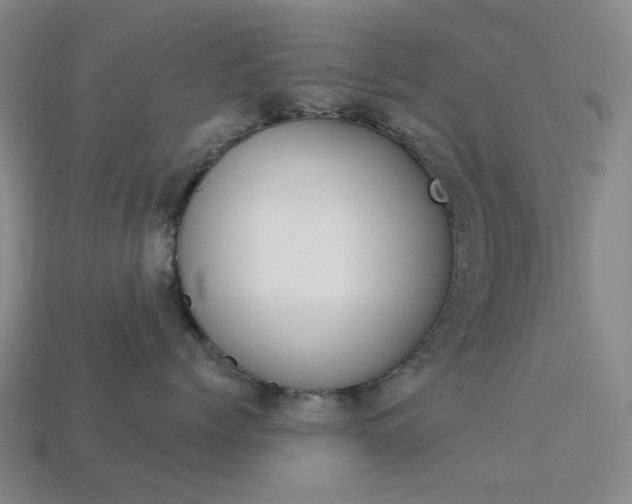 X0000114000768200910021030