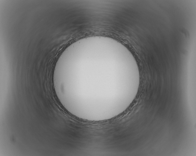 X0000114000769200910021029
