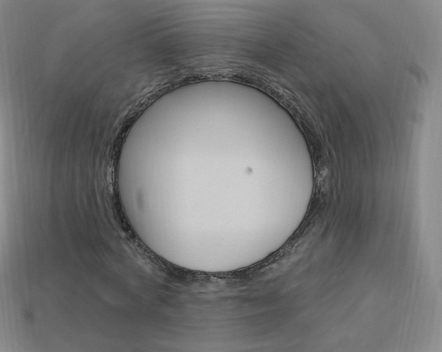 X0000114000772200910021029