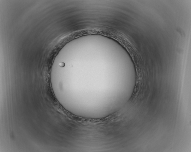 X0000114000773200910021029