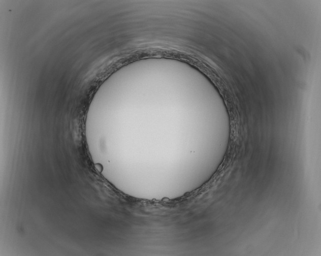 X0000114000774200910021029