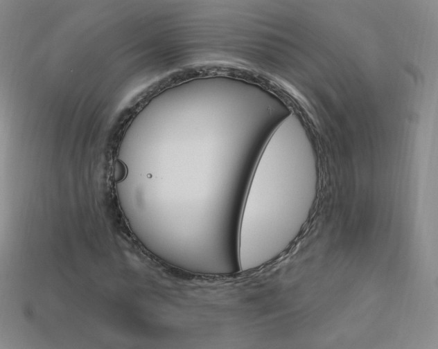 X0000114000775200910021029