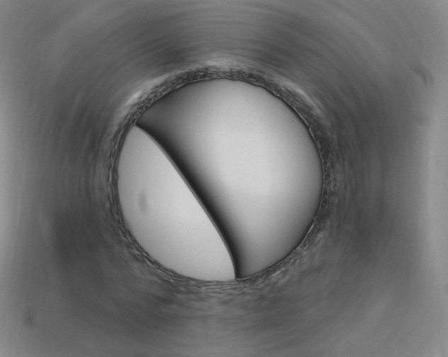 X0000114000776200910021029