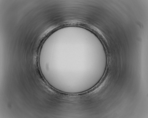 X0000114000778200910021029