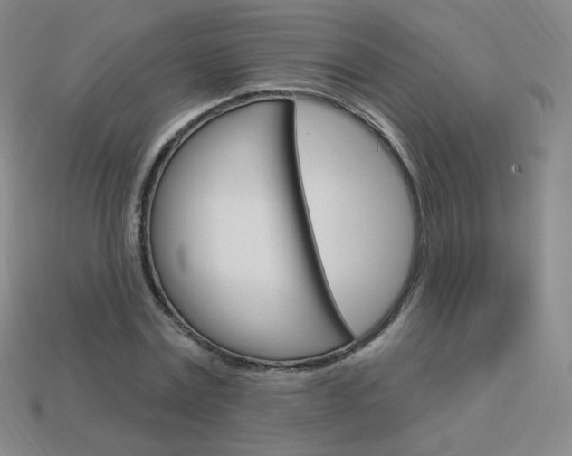 X0000114000779200910021029