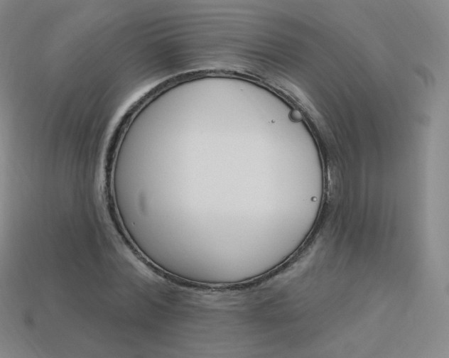 X0000114000780200910021029