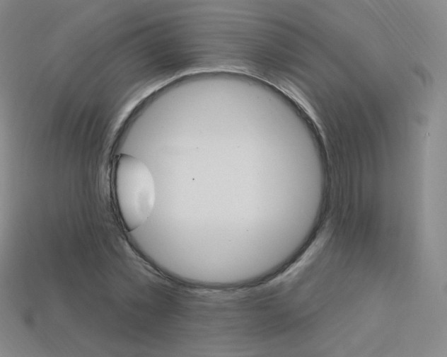 X0000114000781200910021029