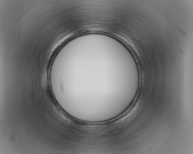 X0000114000782200910021029