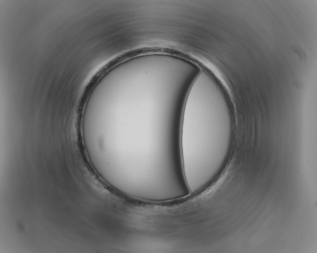 X0000114000783200910021029