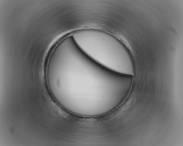 X0000114000784200910021029