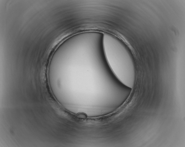 X0000114000786200910021029