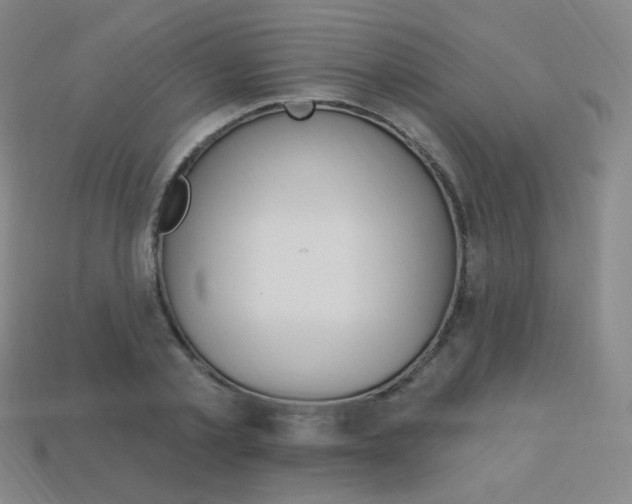 X0000114000789200910021029