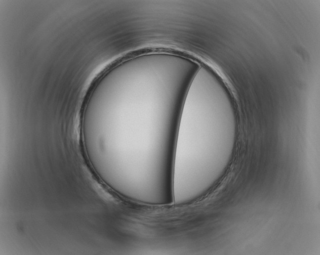 X0000114000791200910021029