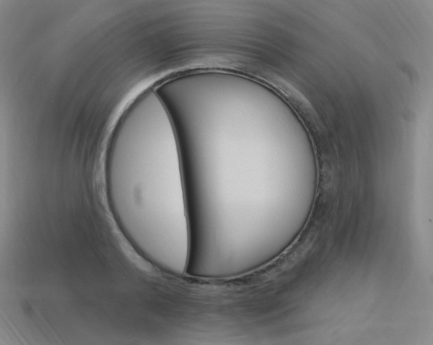 X0000114000792200910021029