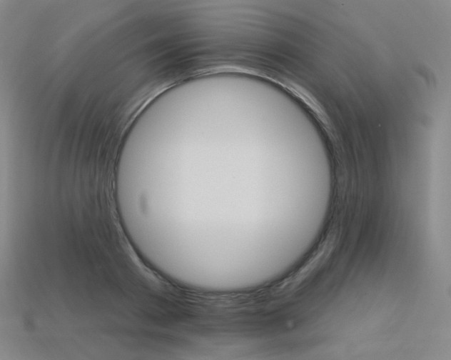 X0000114000793200910021029