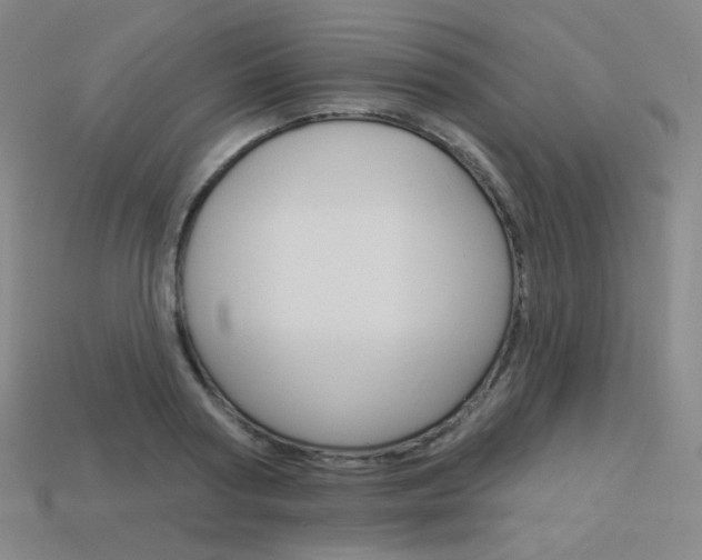 X0000114000794200910021029