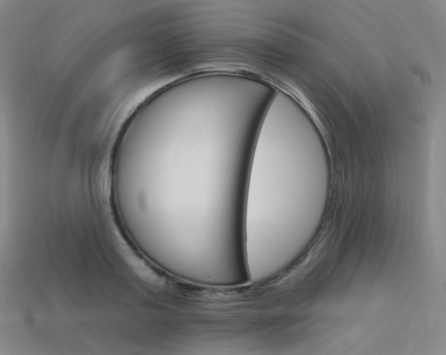 X0000114000795200910021029