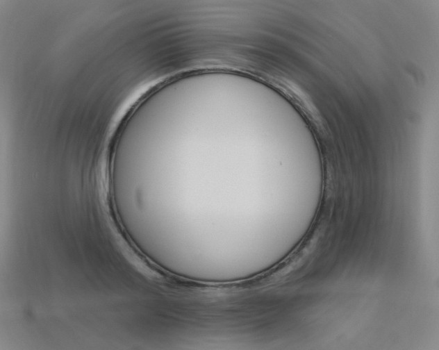 X0000114000796200910021029