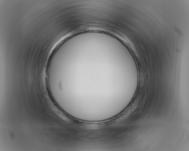 X0000114000798200910021029