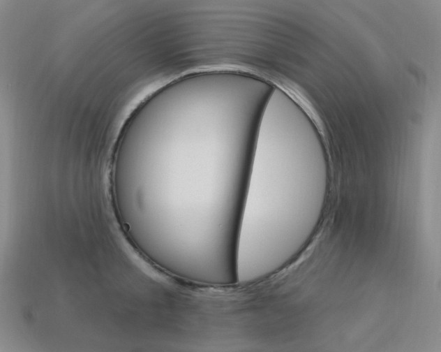 X0000114000805200910021029