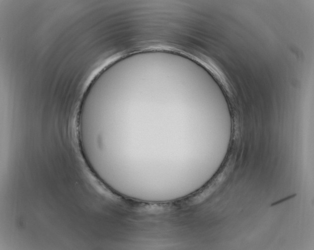 X0000114000806200910021029