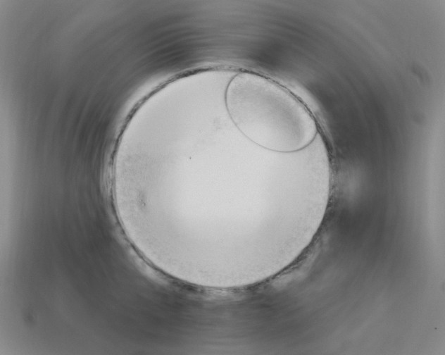 X0000114000807200910021029