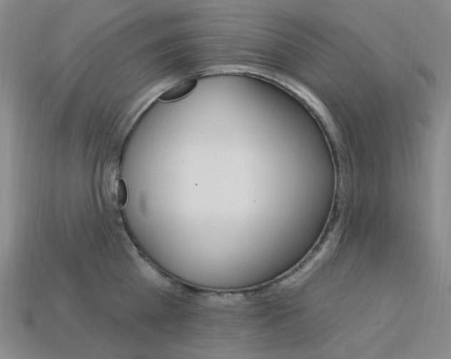 X0000114000809200910021029