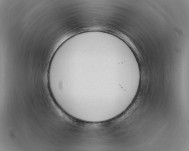 X0000114000810200910021029