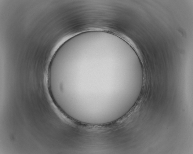 X0000114000811200910021029