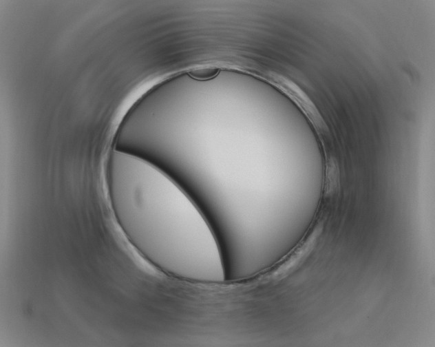 X0000114000812200910021029