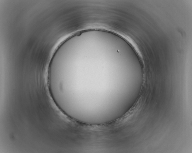 X0000114000815200910021029