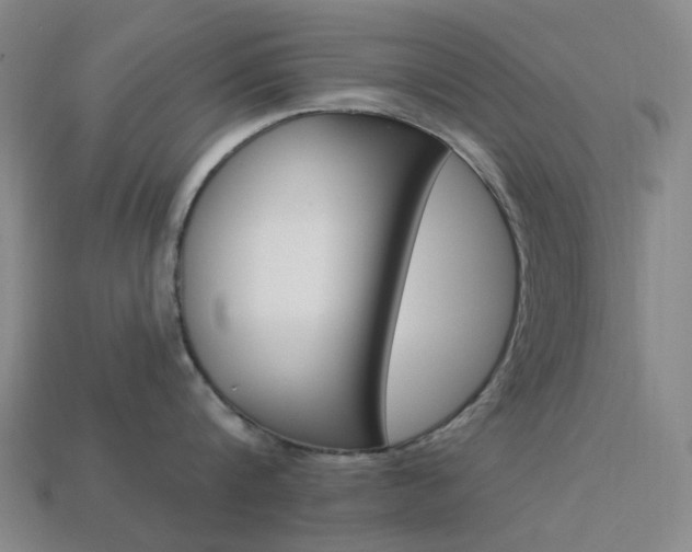 X0000114000816200910021029