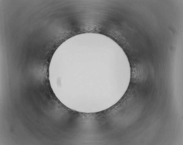 X0000114000820200910021028