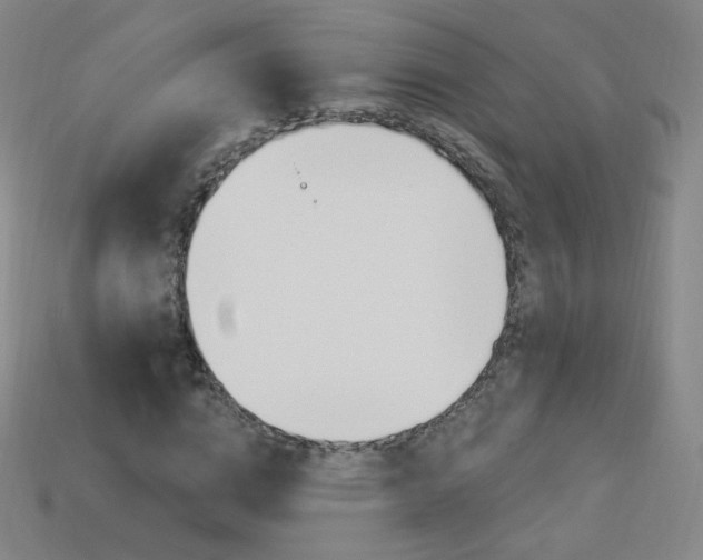 X0000114000824200910021028