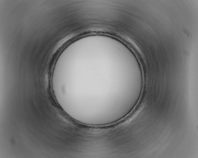 X0000114000829200910021028