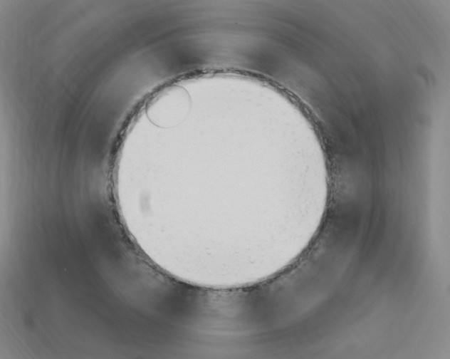 X0000114000832200910021028
