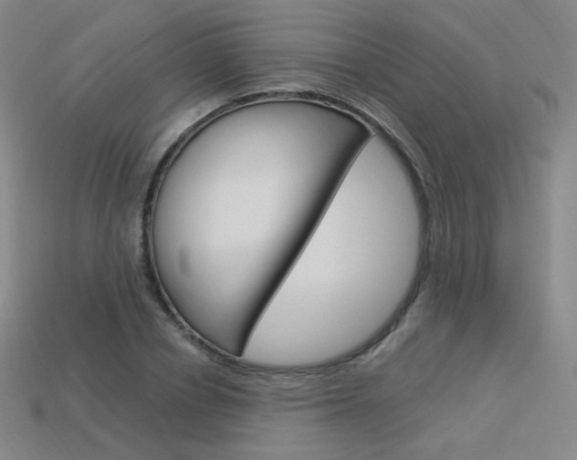 X0000114000834200910021028