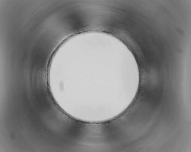 X0000114000836200910021029