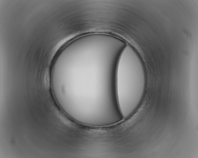 X0000114000838200910021029