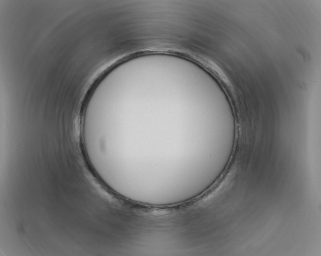 X0000114000839200910021029