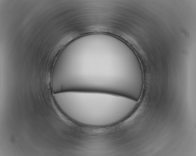 X0000114000841200910021029