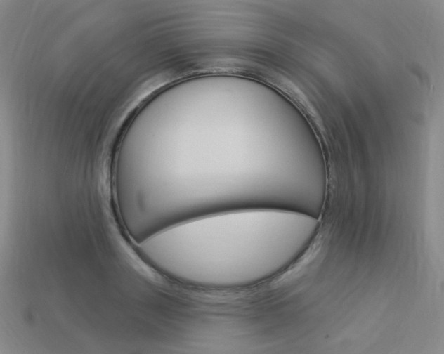 X0000114000843200910021029