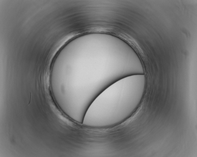X0000114000844200910021029