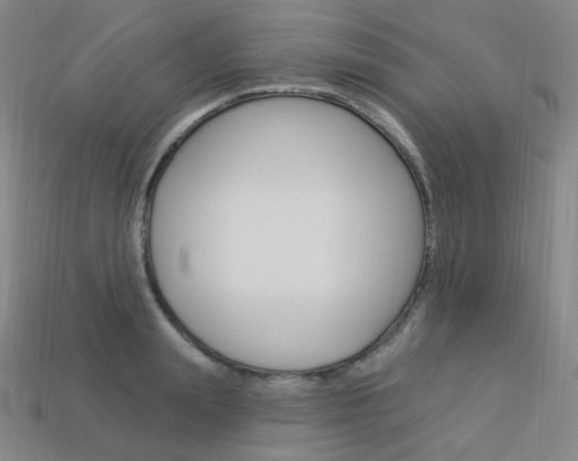 X0000114000847200910021029