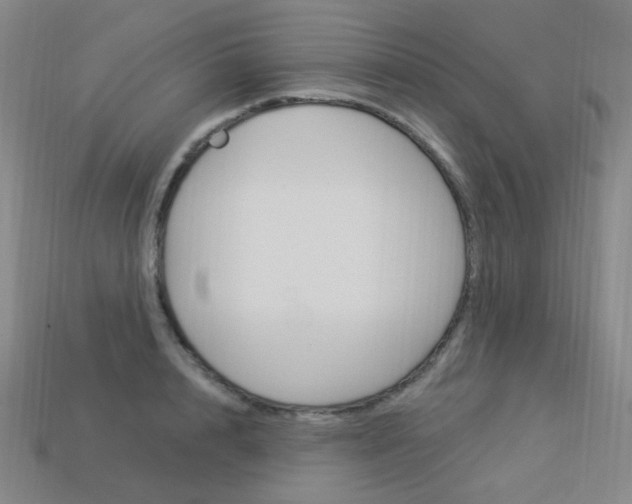 X0000114000848200910021029