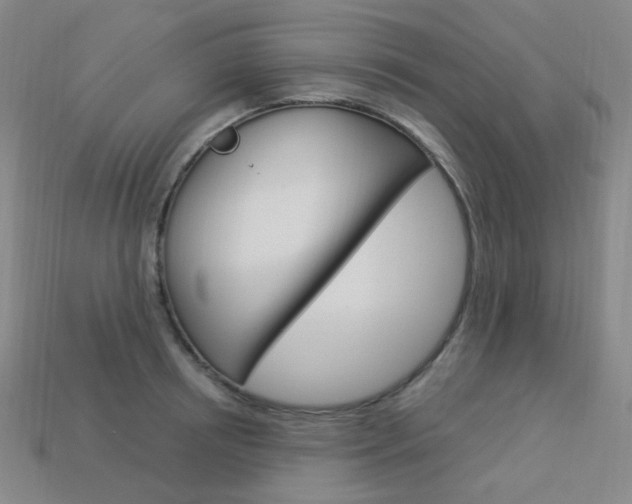 X0000114000850200910021029