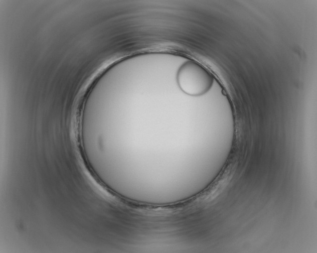 X0000114000851200910021029