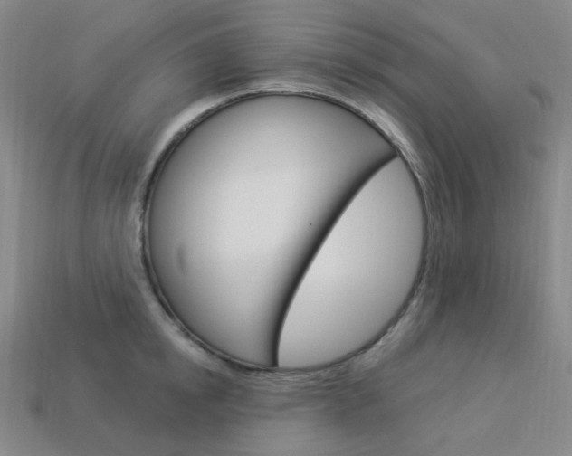 X0000114000854200910021029