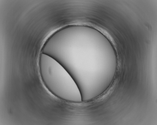 X0000114000855200910021029