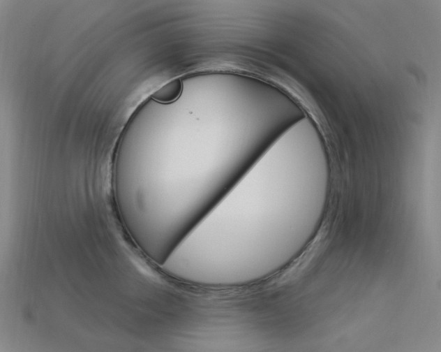 X0000114000858200910021029